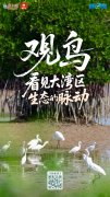 <b>深圳大亚湾等家级斑斓海湾</b>